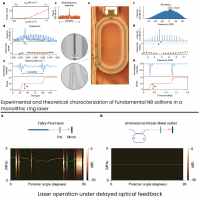 Laser operation under delayed optical feedback